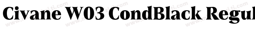 Civane W03 CondBlack Regular字体转换